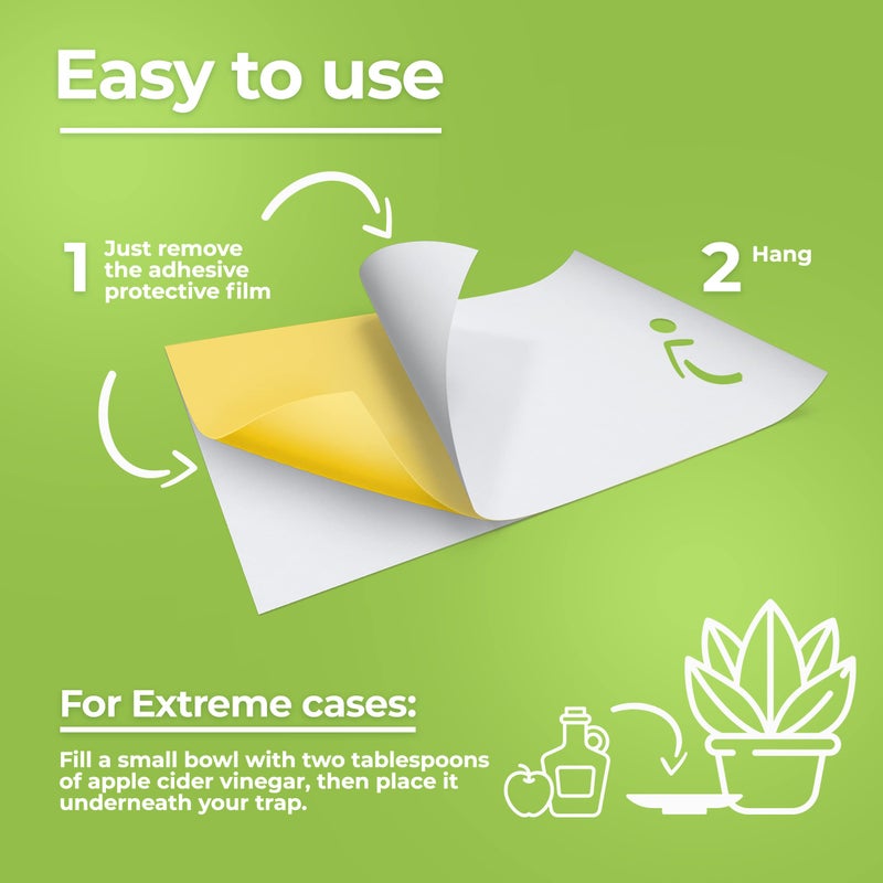 BASIC CONCEPTS Fruit Fly Trap (20 Pack), Double-Sided Yellow Sticky Traps (Indoor & Outdoor), Fruit Fly Traps for Kitchen & Plants, Fruit Fly Killer - Sticky Gnat Trap Indoor Solution, Fungus Gnat Traps - Image 5